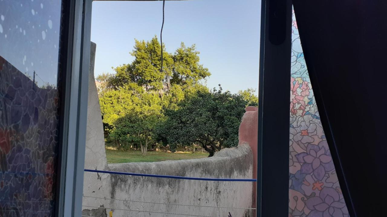 فيلا La Graziella Monolocale Procidano المظهر الخارجي الصورة